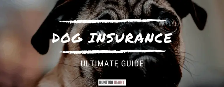 Dog Insurance: Ultimate Guide - Hunting Heart