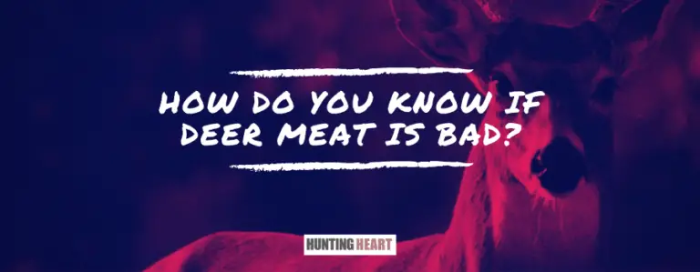 how-do-you-know-if-deer-meat-is-bad-hunting-heart