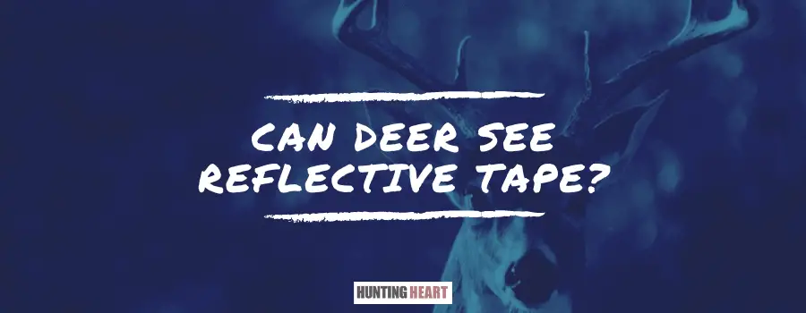 Can deer see reflective tape