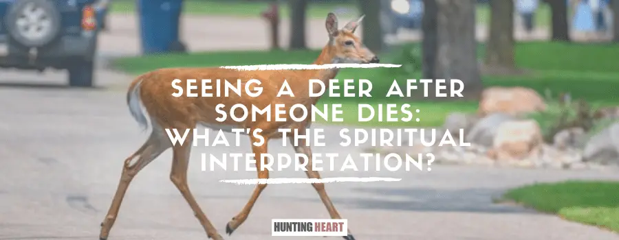 Voir un cerf après la mort d'une personne : Quelle est l'interprétation spirituelle ?