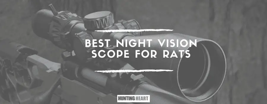 Meilleure lunette de vision nocturne pour les rats