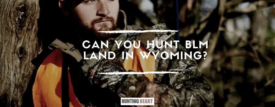 ¿Se puede cazar en terrenos BLM de Wyoming?